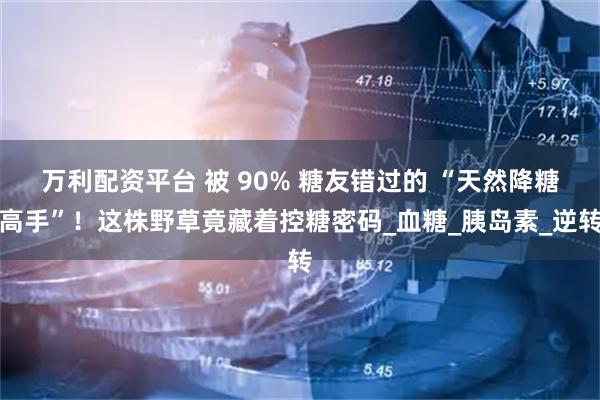 万利配资平台 被 90% 糖友错过的 “天然降糖高手”！这株野草竟藏着控糖密码_血糖_胰岛素_逆转