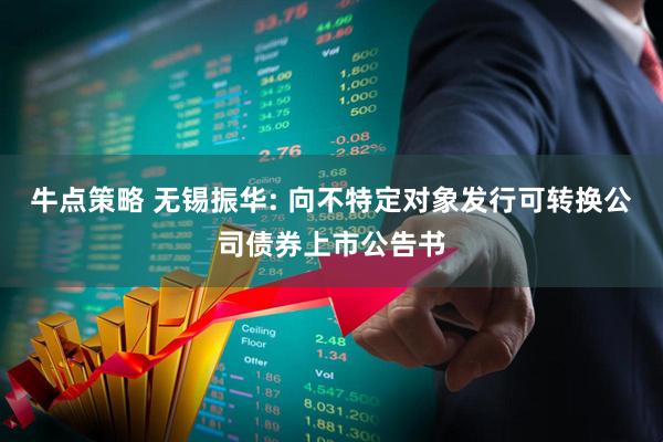 牛点策略 无锡振华: 向不特定对象发行可转换公司债券上市公告书